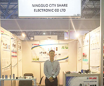 SHARE ELECTRIC 